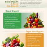 Manfaat Mengonsumsi Sayuran Organik Dibandingkan Non Organik Pilihan Cerdas Untuk Kesehatan Dan Lingkungan