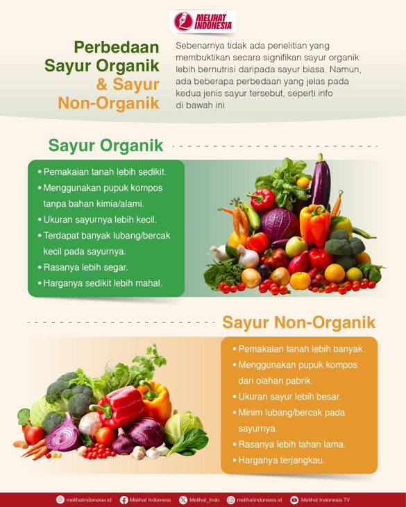 Manfaat Mengonsumsi Sayuran Organik Dibandingkan Non Organik Pilihan Cerdas Untuk Kesehatan Dan Lingkungan