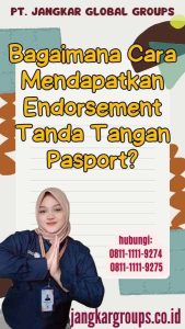 Meraih Mimpi Perjalanan Tips Mendapatkan Endorsement Dari Hotel Atau Maskapai Untuk Konten Kreator