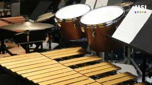 Pentingnya Mengenalkan Alat Musik Perkusi Untuk Irama Membangun Fondasi Musikal Dan Perkembangan Holistik Anak