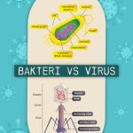 Bagaimana Cara Mengetahui Apakah Tubuh Terinfeksi Bakteri Atau Virus