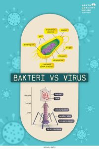 Bagaimana Cara Mengetahui Apakah Tubuh Terinfeksi Bakteri Atau Virus