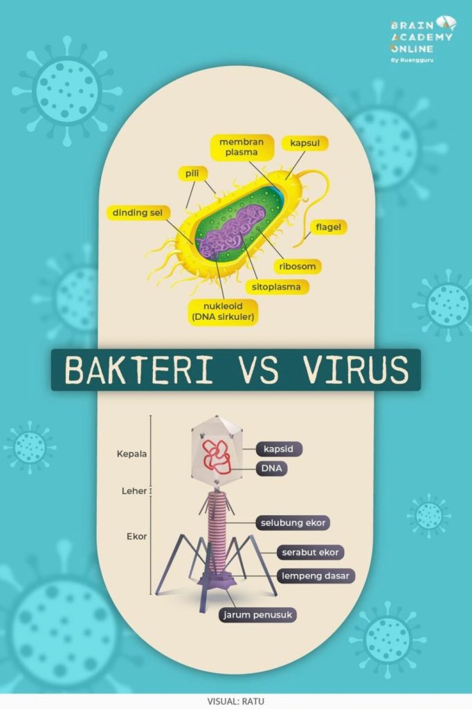 Bagaimana Cara Mengetahui Apakah Tubuh Terinfeksi Bakteri Atau Virus