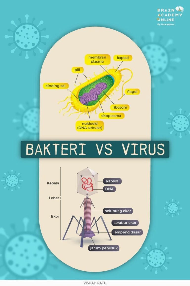 Bagaimana Cara Mengetahui Apakah Tubuh Terinfeksi Bakteri Atau Virus