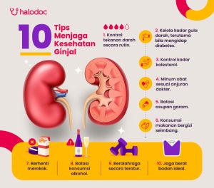 Bagaimana Cara Menjaga Kesehatan Ginjal Agar Tetap Berfungsi Optimal