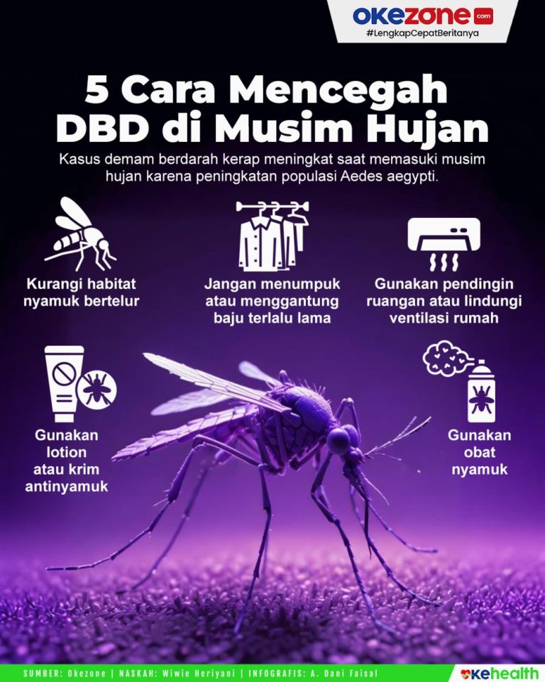Panduan Lengkap Bagaimana Cara Mencegah Demam Berdarah Saat Musim Hujan Secara Natural